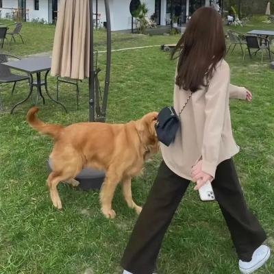 开玩笑 第一季